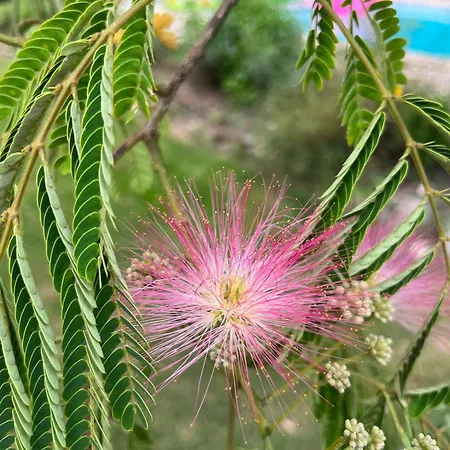 Ferienhaus De Claire Fontaine Avec Vue Sur *