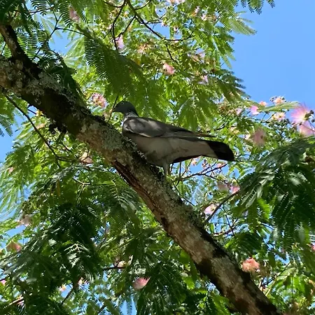 De Claire Fontaine Avec Vue Sur *