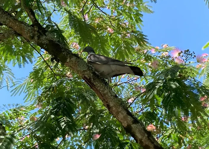De Claire Fontaine Avec Vue Sur *